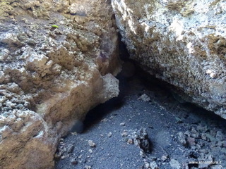 otta Chiovazzi-02-11-2020 12